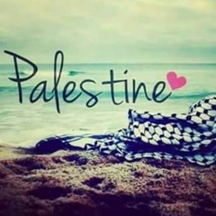 فـلسطيــن لــ مَـيس شلـش