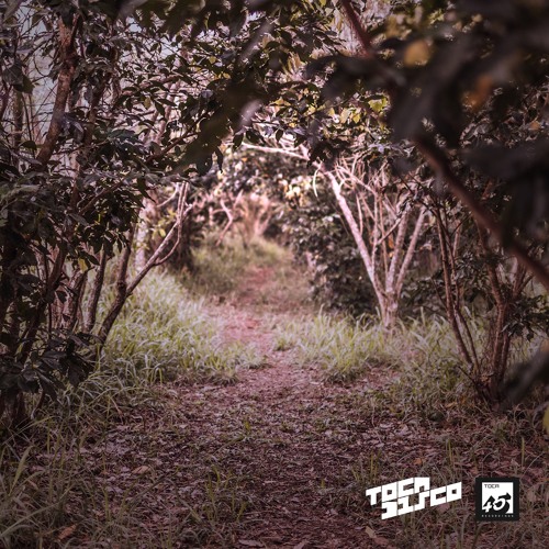 Tocadisco Album "IV" Mini MIx - Teaser