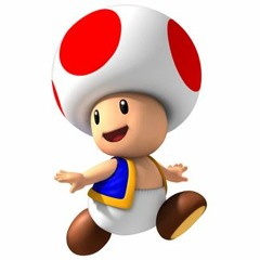 TOAD IS RIDE OR DIE BRO THINK ABOUT IT
