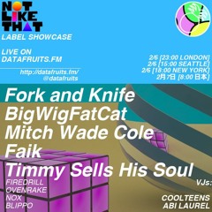 <a href="datafruits.fm">BIGWIGFATCAT</a> 6/02