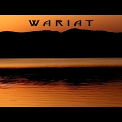 Neenboo - Wariat