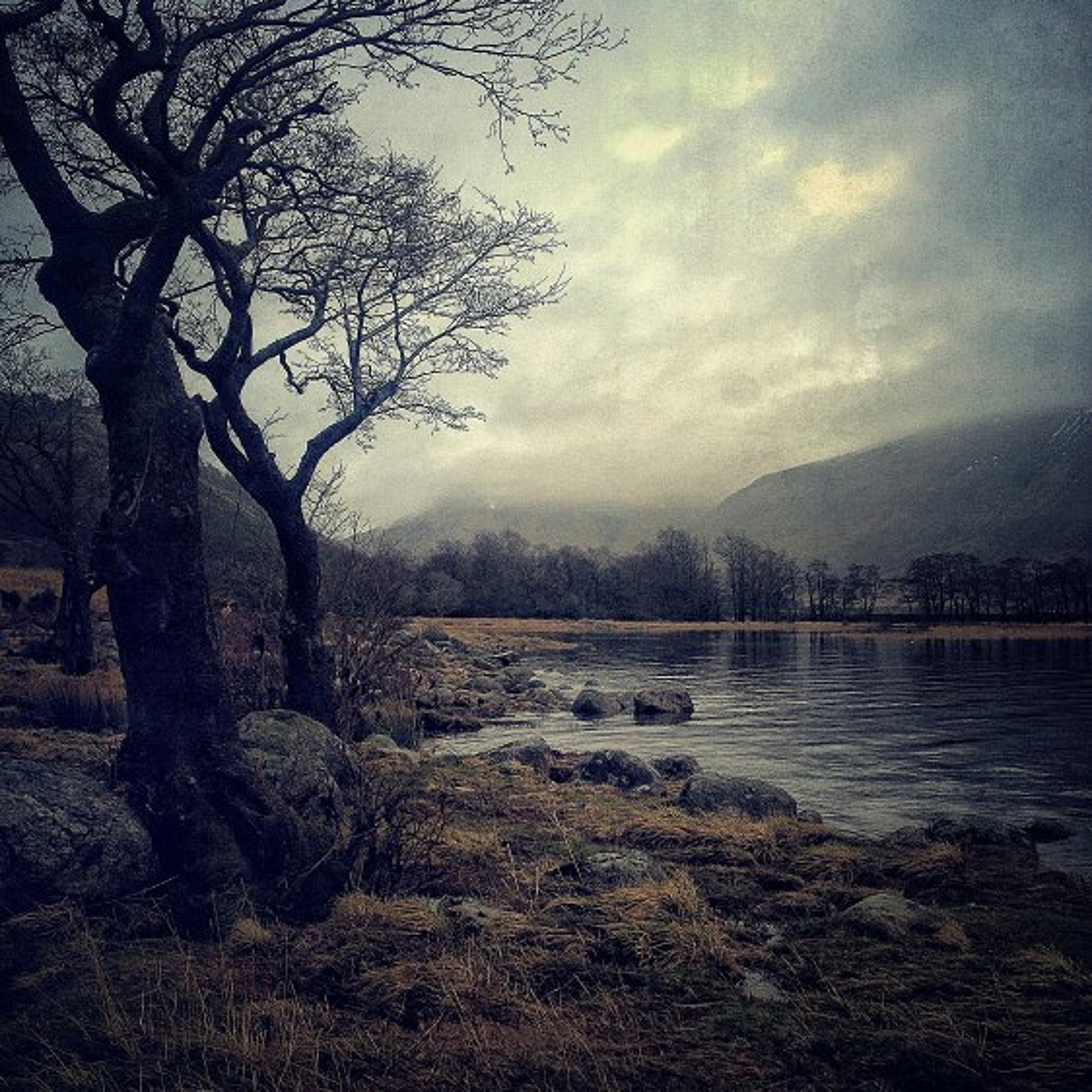 Fog And Mud Session episode artwork