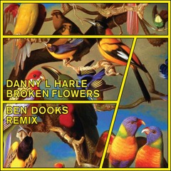 Danny L Harle - Broken Flowers (Ben Dooks Remix)