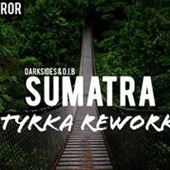 Darksides & D.I.b - Sumatra No Monkey Twerk (Tyrka Rework)