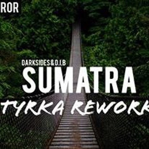 Darksides & D.I.b - Sumatra No Monkey Twerk (Tyrka Rework)