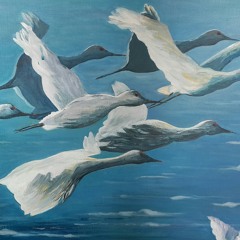 Radiohead lucky cover.m4a