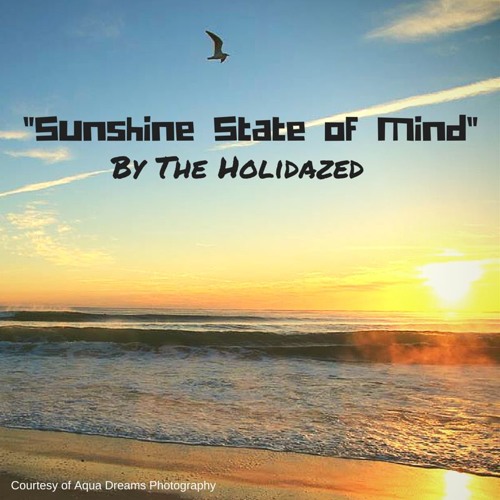 Sunshine State Of Mind - The Holidazed