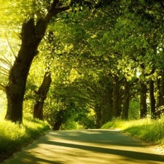 La Naissance Du Cheval