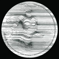A2 - Primary Perception - ESP - (Preview)