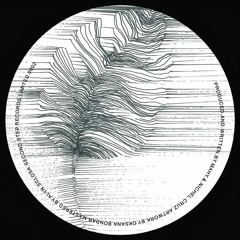 B2 - Primary Perception - Electrical Response - [S. Moreira Remix] - (Preview)