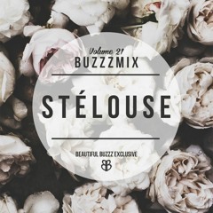 BUZZZMIX VOL. 21 - STELOUSE