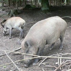 Good Stuff Good Life