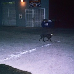 Tempa t // Next Hype (Remix)