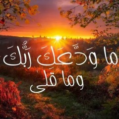 مَا وَدَّعَكَ رَبُّكَ وَمَا قَلَى .. د.أحمد عبد المنعم