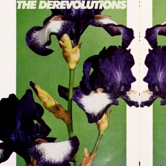 the derevolutions - The One