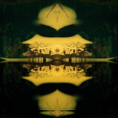 Booker T & the MG s Green OnionS/re-edit