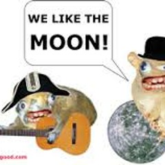 We like the moon