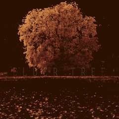 Irregular Regularities