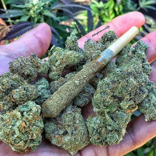 Из чего лучше всего курить марихуану янтарная кислота тест на наркотики