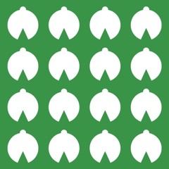 Snowdrops (Album Version)