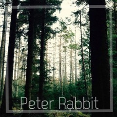 Peter Rabbit - Piano Ver.
