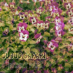 Sunset Park