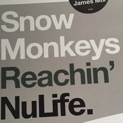 Tribute to Snow Monkeys - Reachin' (Ripper Remix)