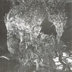 I Believe It's Magic 2/2/16 Guest Mix by Gulls (Boomarm Nation)