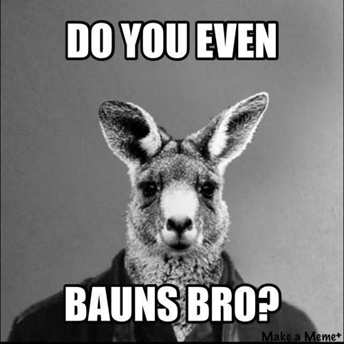 AUSSO- BAUNS(SUPPORTED BY RIGGI N PRIOS N STEVEN MONTANA)