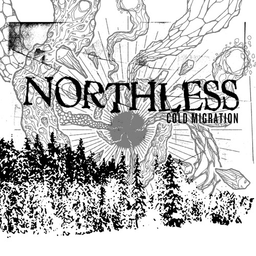 northless-cold-migration