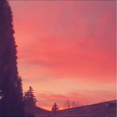 Rigid Insulation (Demo)