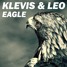 Eagle (Original Mix)