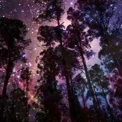 Too Far(produced by Shuz)