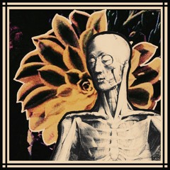 Anatomy (prod. Driver)