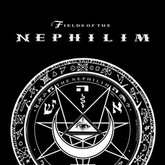 FIELDS OF THE NEPHILIM