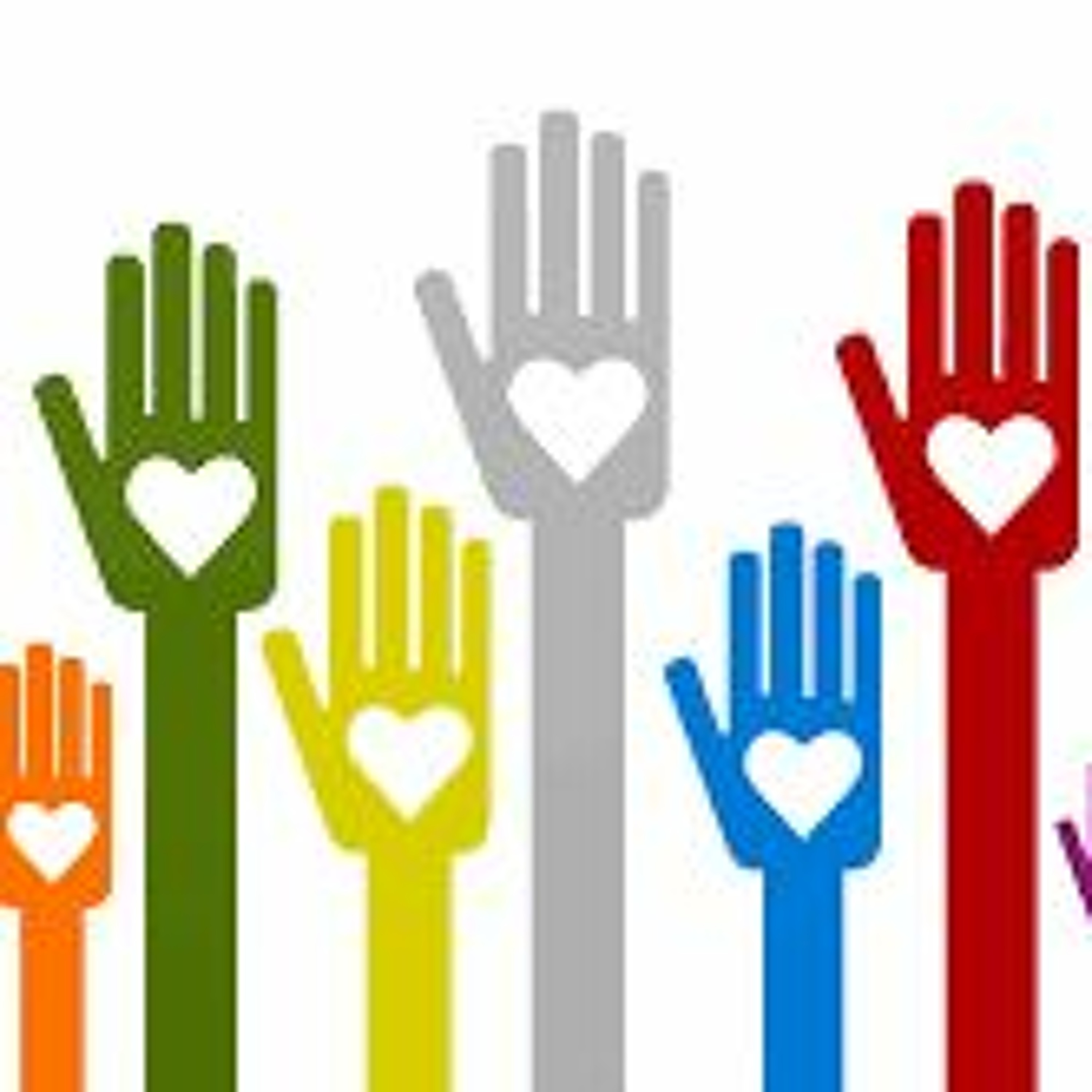 Podcast 11: Non-Profits in the Field of Adapted Physical Activity Part 1