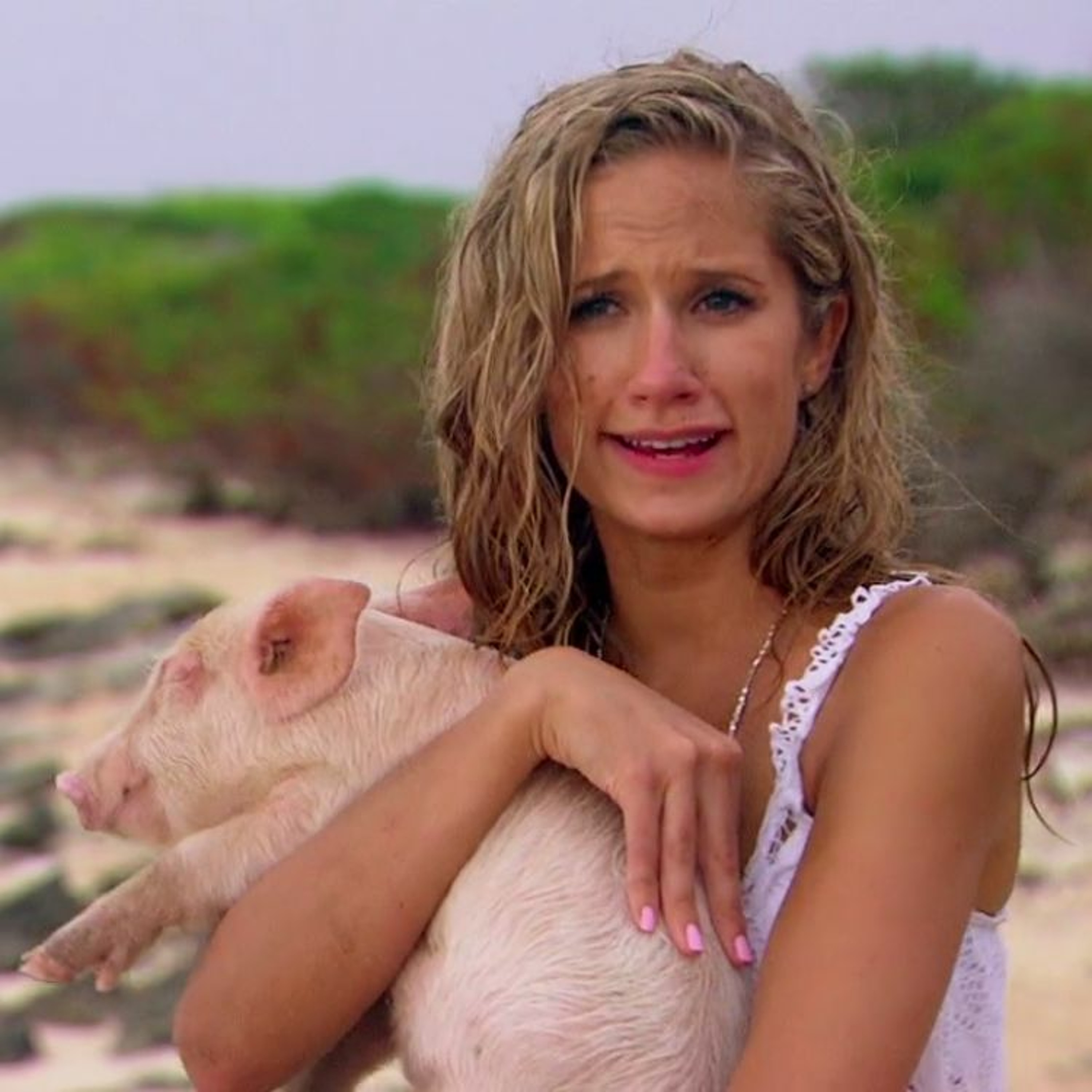 Bachelor 20 / Episode 6: It's Not Better in the Bahamas thumbnail