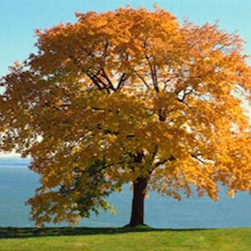 Mixer 148 What is your favorite season?