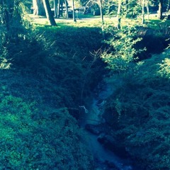 Creek Sounds