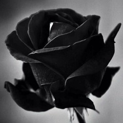 You Got Me Thinking Prod. Padillion