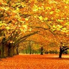 Fall's Trees -Mastery-