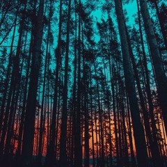 MaXJelly - Bingo (Leases - 10$)