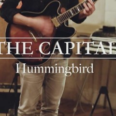 Hummingbird