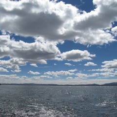 Un 11 Novembre A Bagnolet