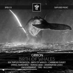 SMD123 Gibbon - Birth of Whales (Album) [Suffused Music]