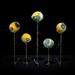 Grzegorz Pieniek - Still Life With Poisoned Wine And Rotten Fruits