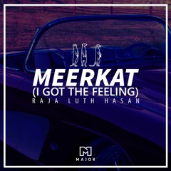 Raja Luth Hasan - Meerkat (I Got The Feeling) [FREE DOWNLOAD]
