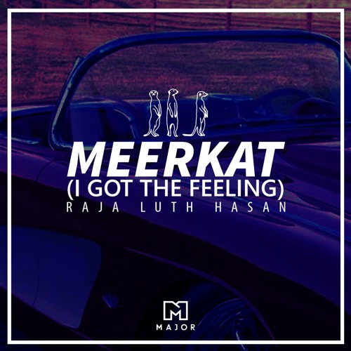 Raja Luth Hasan - Meerkat (I Got The Feeling) [FREE DOWNLOAD]