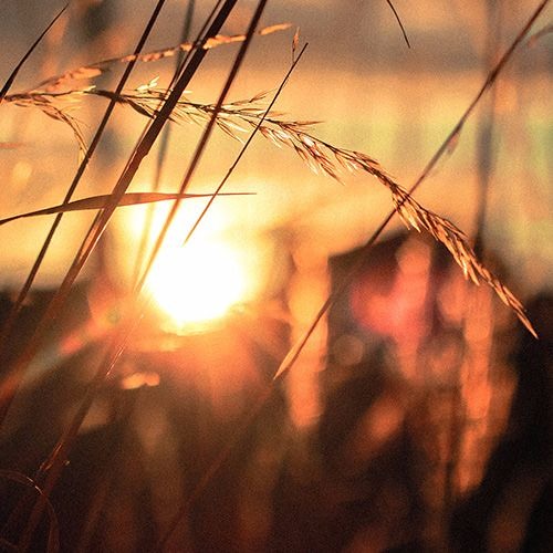 Nostalgic(Royalty Free Music)