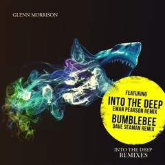 Glenn Morrison - Bumblebee (Dave Seaman Remix)